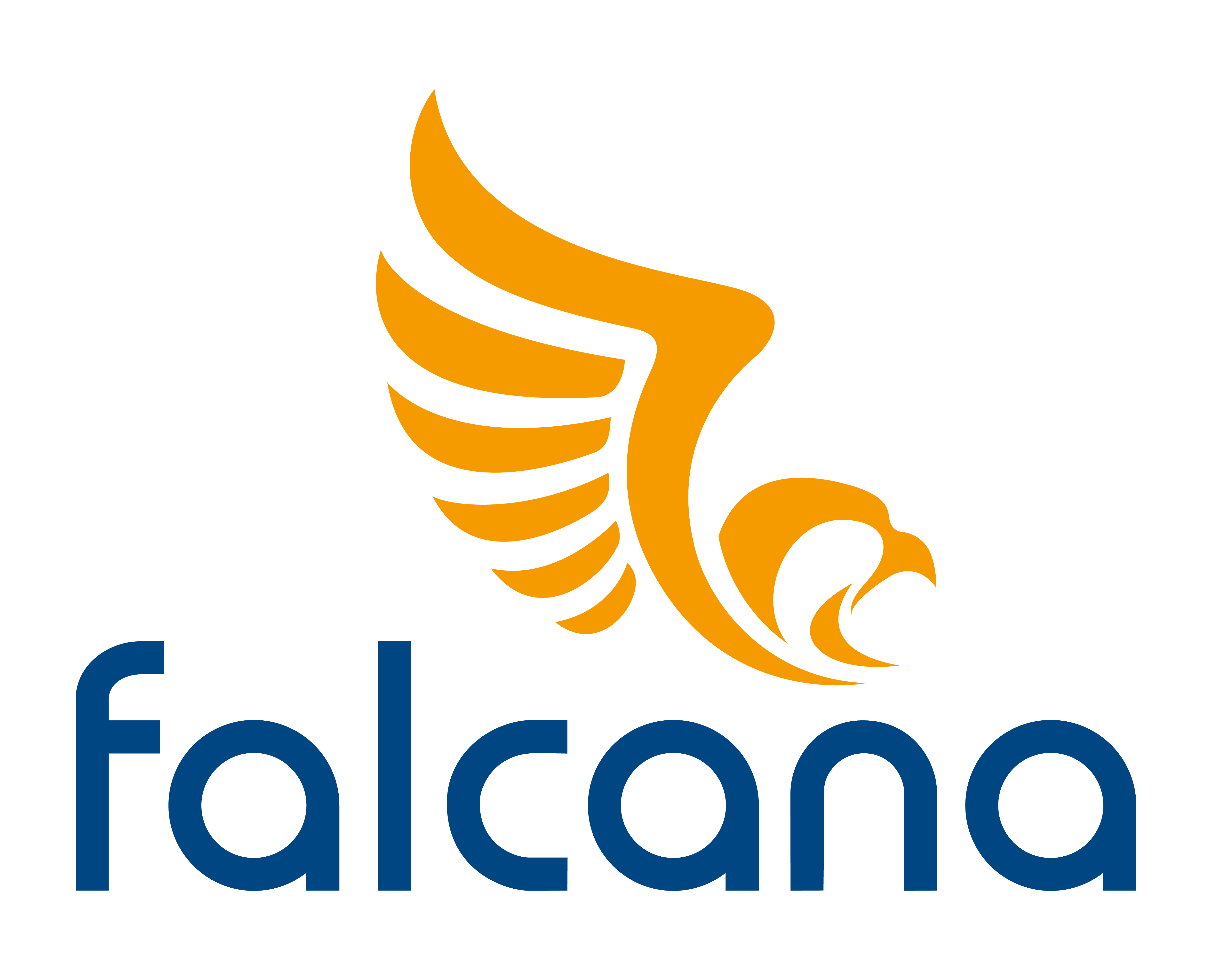 falcana Software GmbH Logo